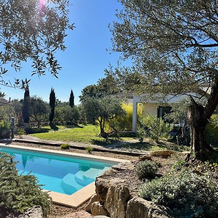 La Villa Aux Oliviers Flayosc エクステリア 写真